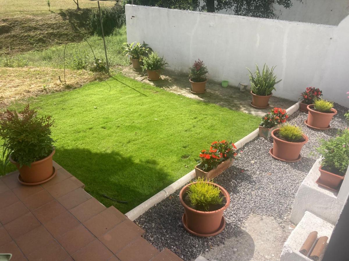 Apartamento Con Jardin En El Oviedo Antiguo מראה חיצוני תמונה